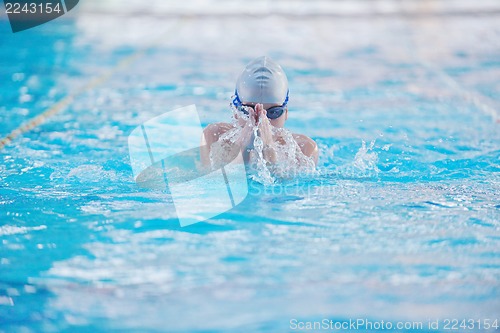 Image of swimmer