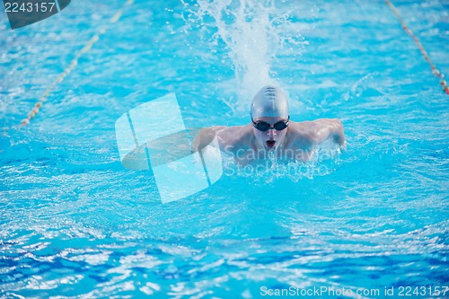 Image of swimmer