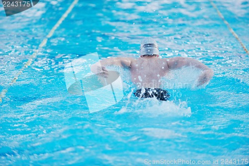 Image of swimmer