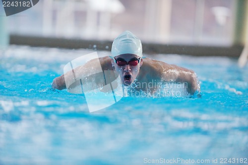 Image of swimmer