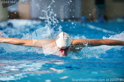 Image of swimmer