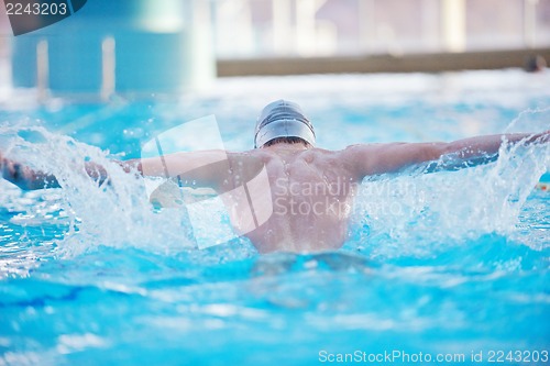 Image of swimmer