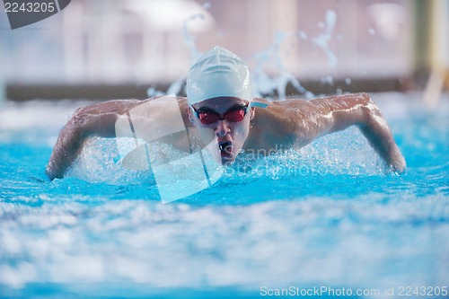 Image of swimmer