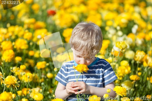 Image of little boy at summer