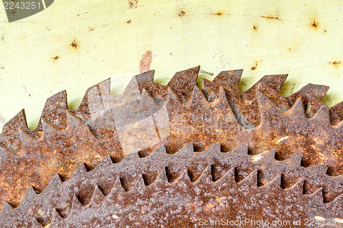 Image of old rusted circular saw blades