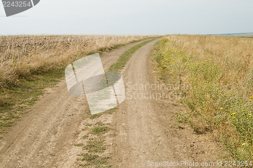 Image of rural road