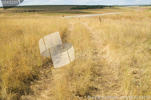 Image of grass road