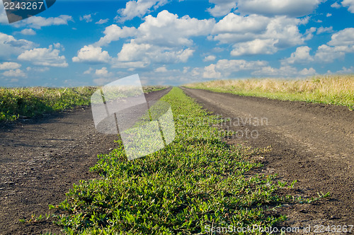 Image of green road