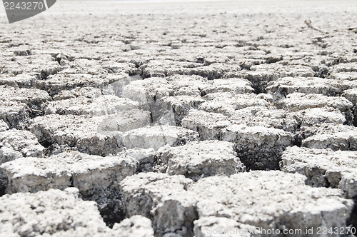 Image of waste ground