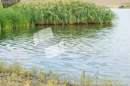 Image of shore lakes