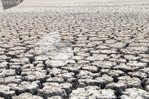 Image of uncultivated ground