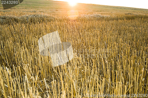 Image of sunsets over horizon