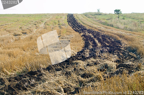 Image of bar of black earth