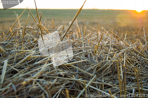 Image of sunsets over field