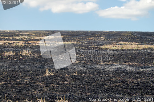 Image of fire burning