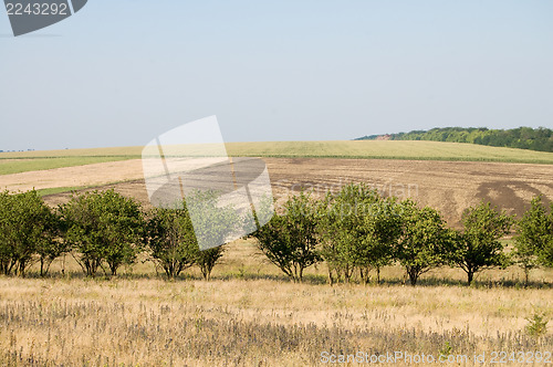 Image of view after harvesting