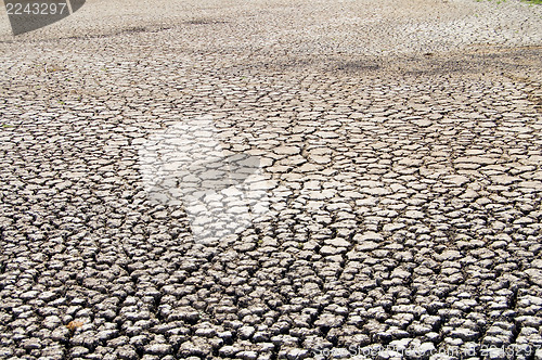 Image of wasteland