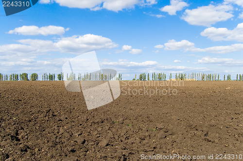 Image of topsoil