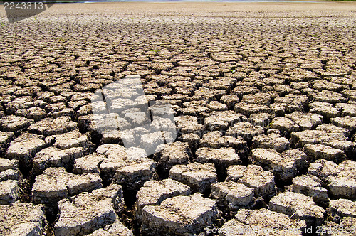 Image of Dry ground