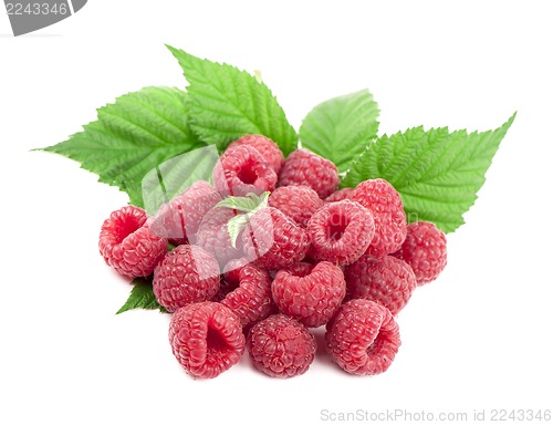 Image of Ripe raspberry with green leaf