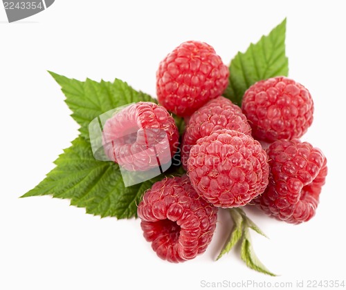 Image of Ripe raspberry with green leaf