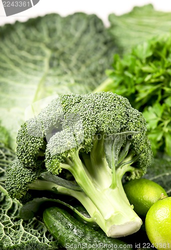 Image of still life of fresh cabbage