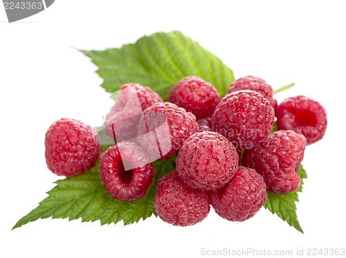 Image of Ripe raspberry with green leaf