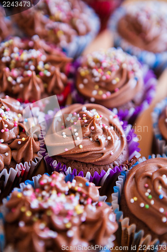 Image of Chocolate cupcakes