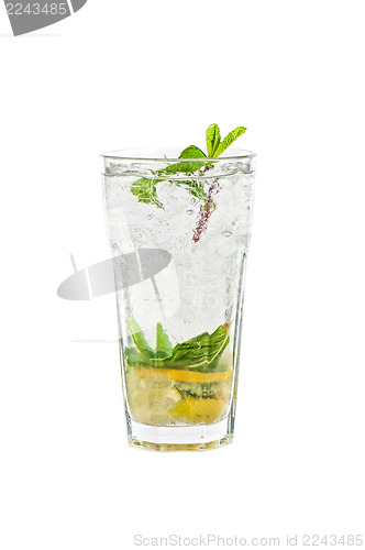 Image of Fresh mojito