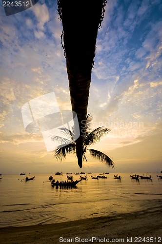 Image of Sunset with palm and boats on tropical beach