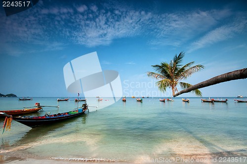 Image of palm and boats on tropical beach, Thailand