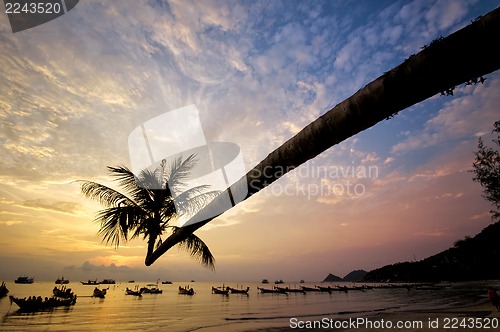 Image of Sunset with palm and boats on tropical beach