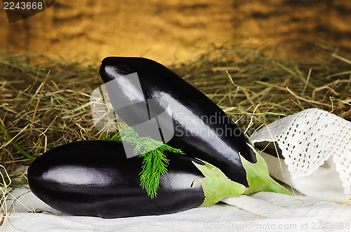 Image of Aubergines 