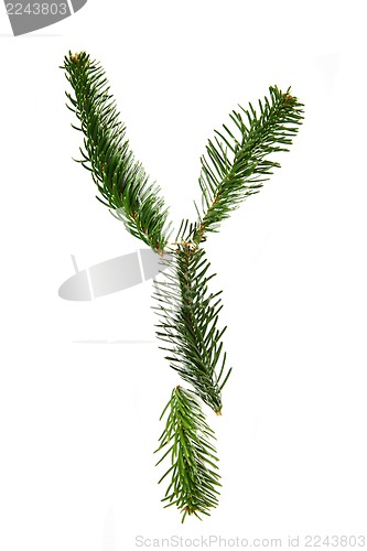 Image of Y - symbol from christmas alphabet