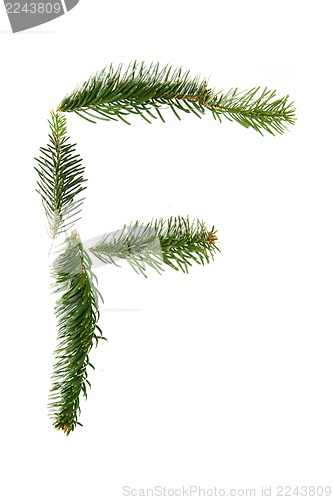 Image of F - symbol from christmas alphabet