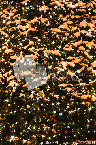 Image of christmas tree in Ostrava (detail)