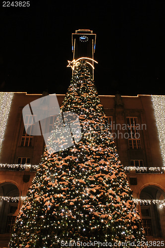 Image of christmas tree in Ostrava