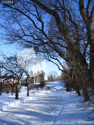 Image of winter in Oslo