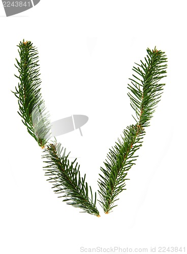 Image of V - symbol from christmas alphabet