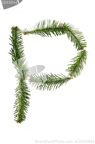 Image of P - symbol from christmas alphabet