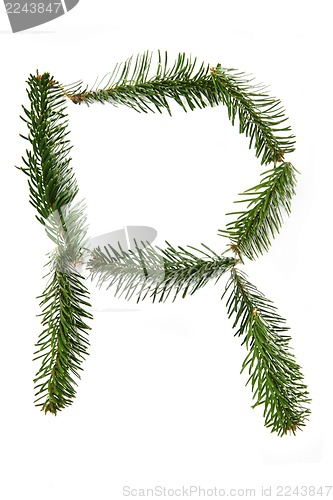 Image of R - symbol from christmas alphabet