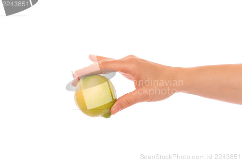 Image of Hand with lemon