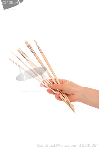 Image of Paint brushes in hand