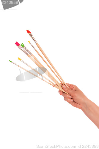 Image of Paint brushes in hand