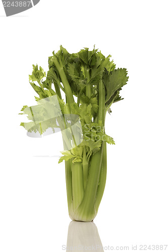 Image of Celery bunch
