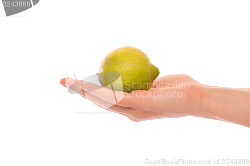 Image of Hand with lemon