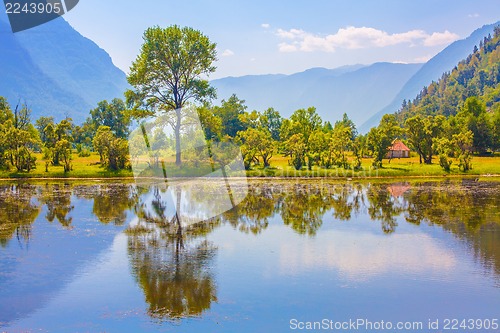 Image of Green nature landscape with mountains