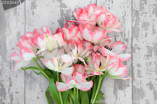 Image of Natures Beauty