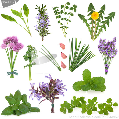 Image of Herbs