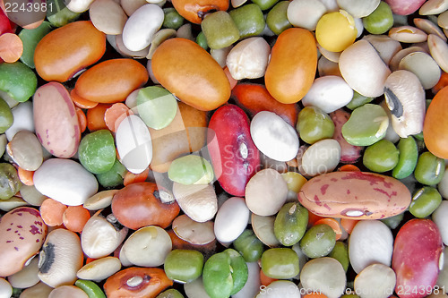 Image of Beans salad